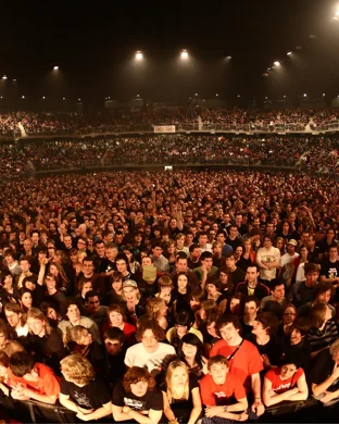 Jonas Brothers